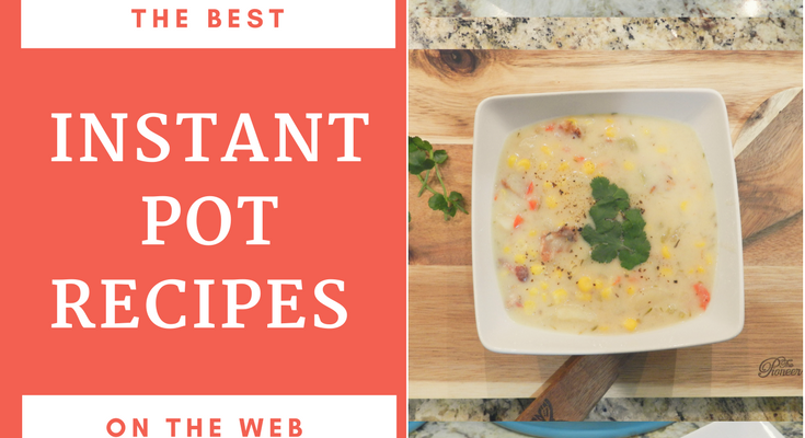 The Best Instant Pot Recipes On The Web!