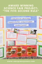 Science Fair Project: The 5 Second Rule | Sassy Cassy's