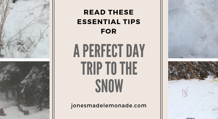 Essential Tips For A Play Day In The Snow