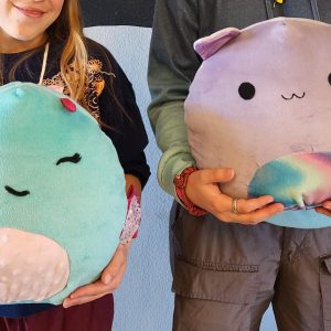 2 Day Workshop: Squishmallows