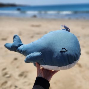 Summer Workshop: Whale Stuffy