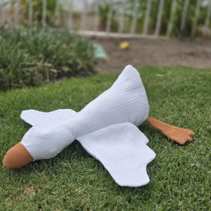 Summer Camp Workshop: Stuffed Goose